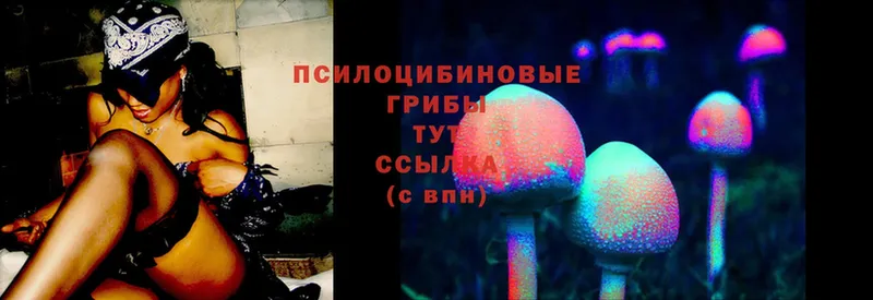 Галлюциногенные грибы Psilocybe  дарк нет как зайти  Ардатов  купить закладку  гидра онион 